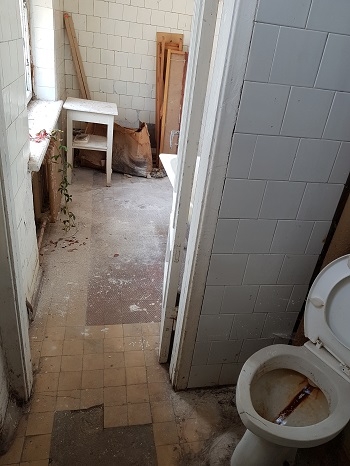 20190425_160607.jpg