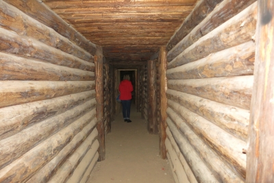 Bunkurs
