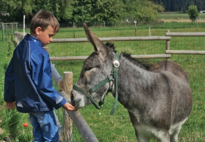 Ozoliņi