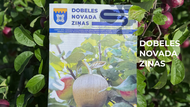 Dnz