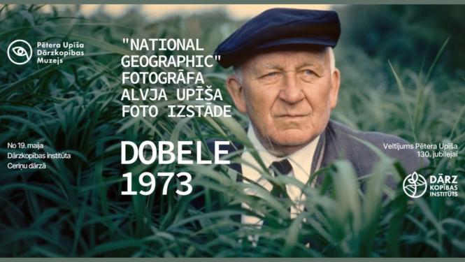 Dobele
