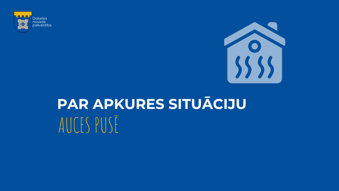 auce