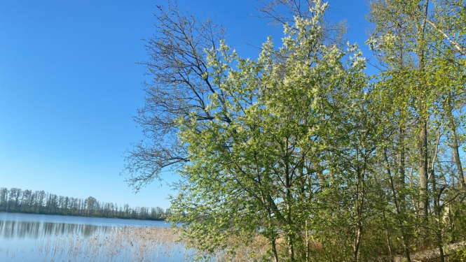 talka