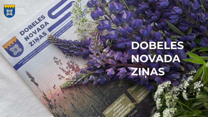 dnz
