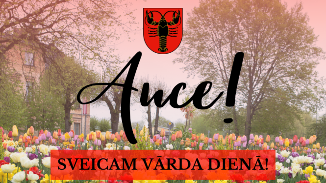 auce