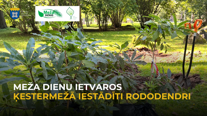 rododendri