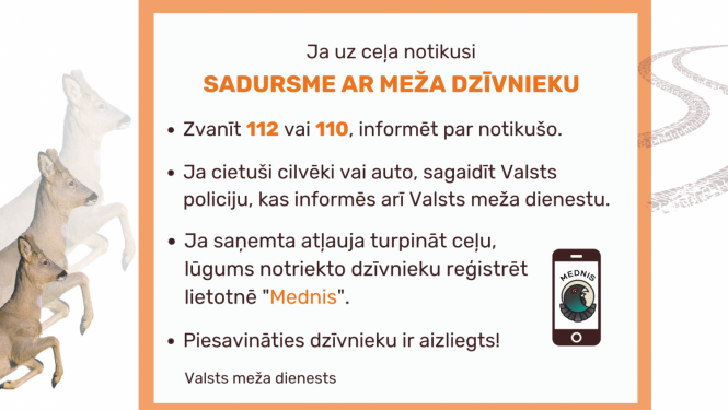 dzivnieki