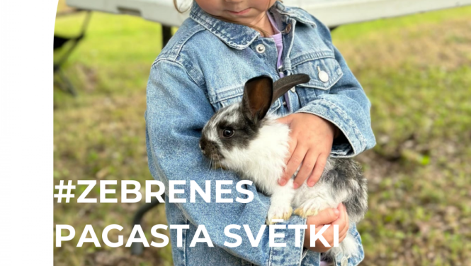 zebrene