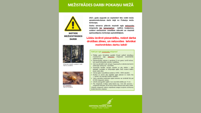 mežs
