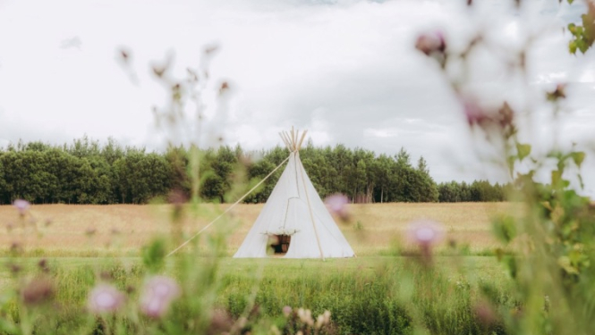 nomadic_homes_glempings_tipi_village_dobeles_novads1.jpg