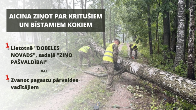 bīstami koki