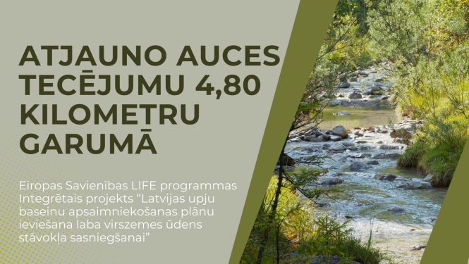 Auces upe