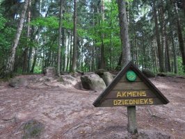 Pokaiņu mežs