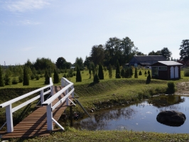 Apinīši