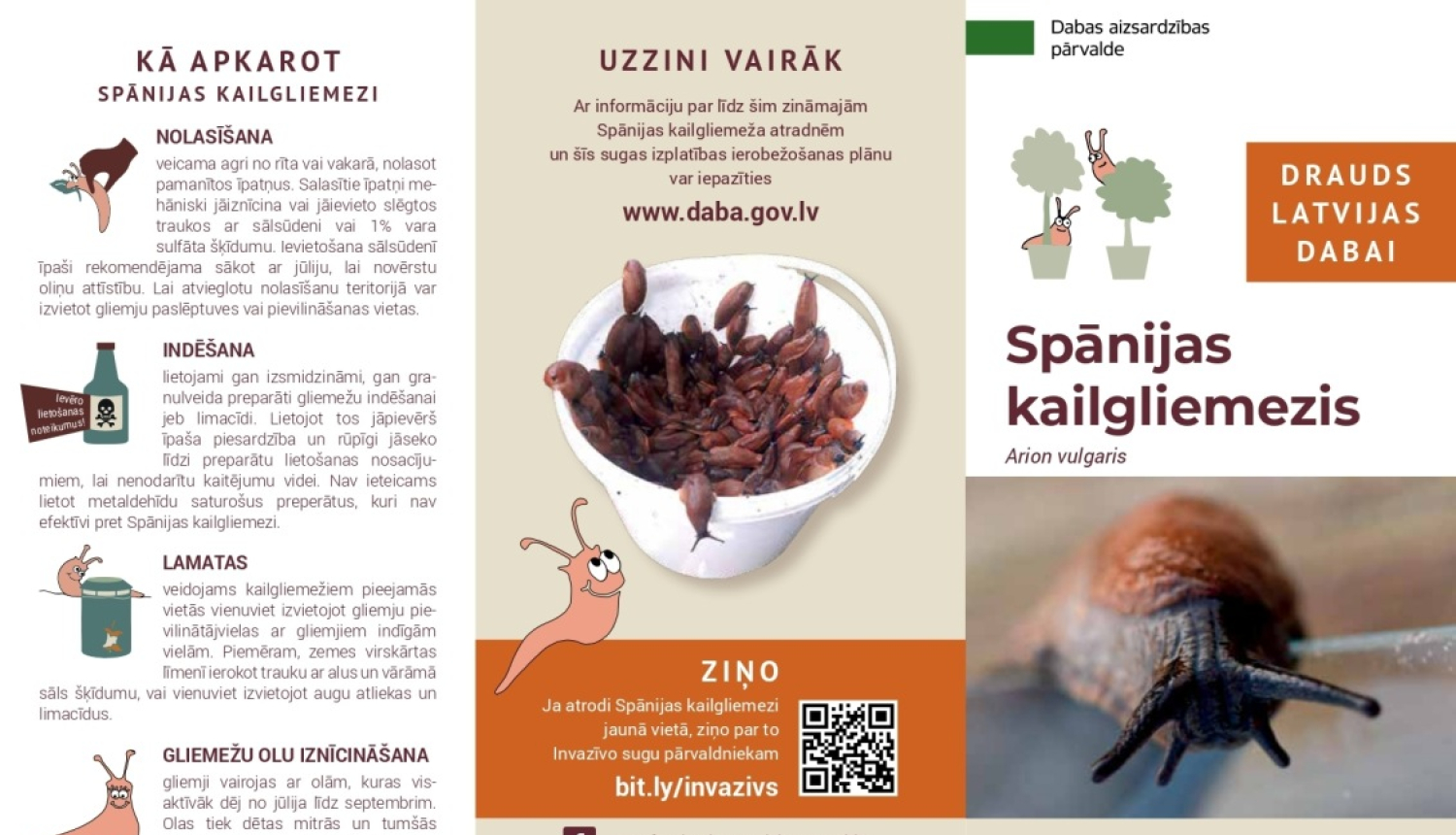 Gliemezis