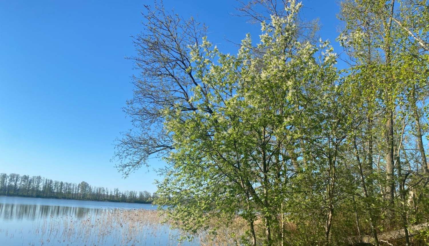 talka