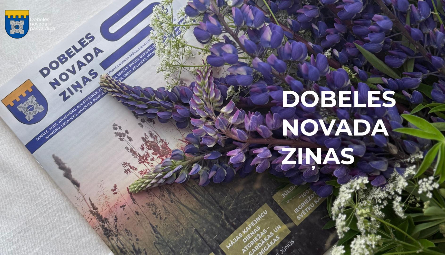 dnz