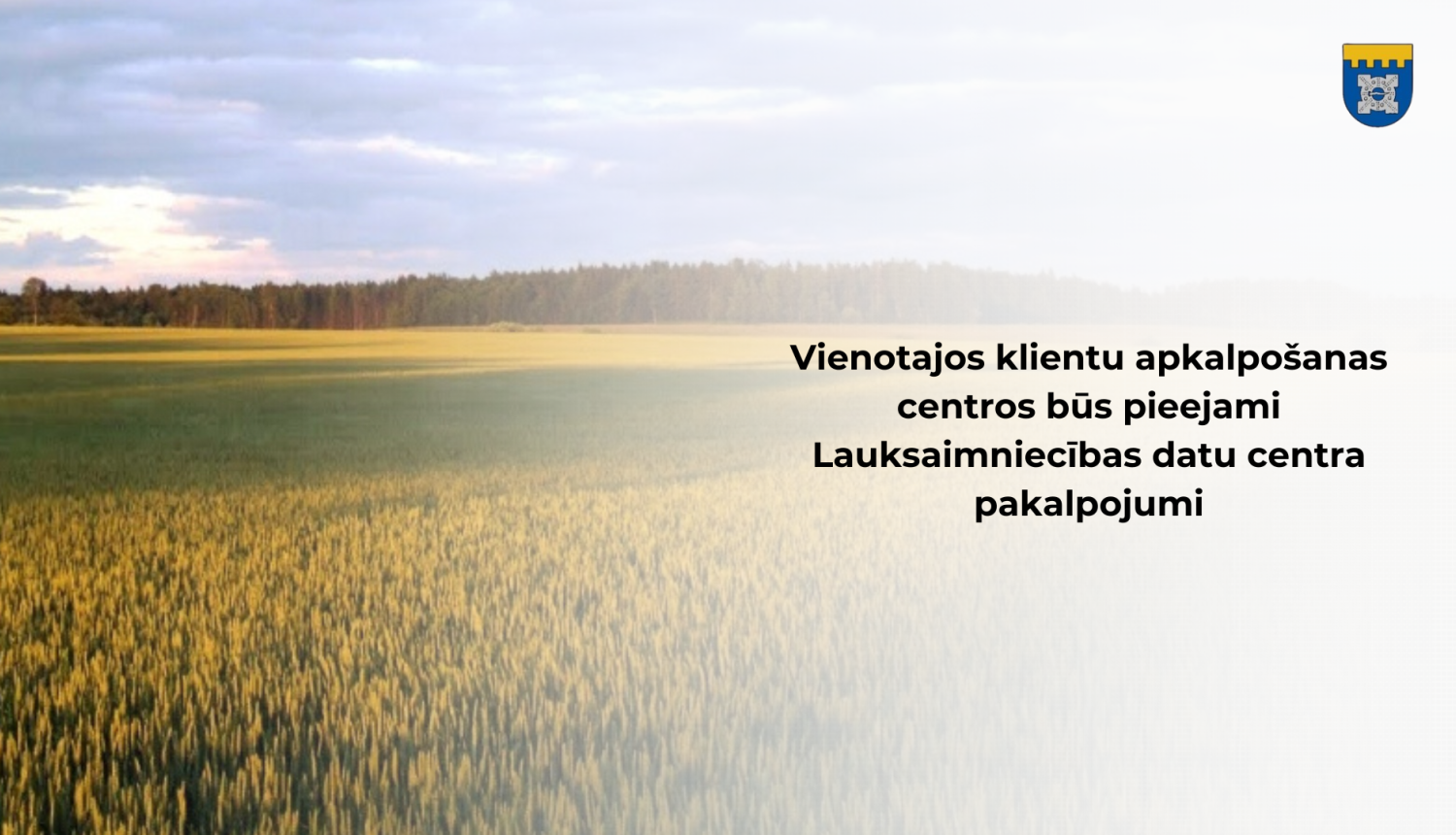 lauki
