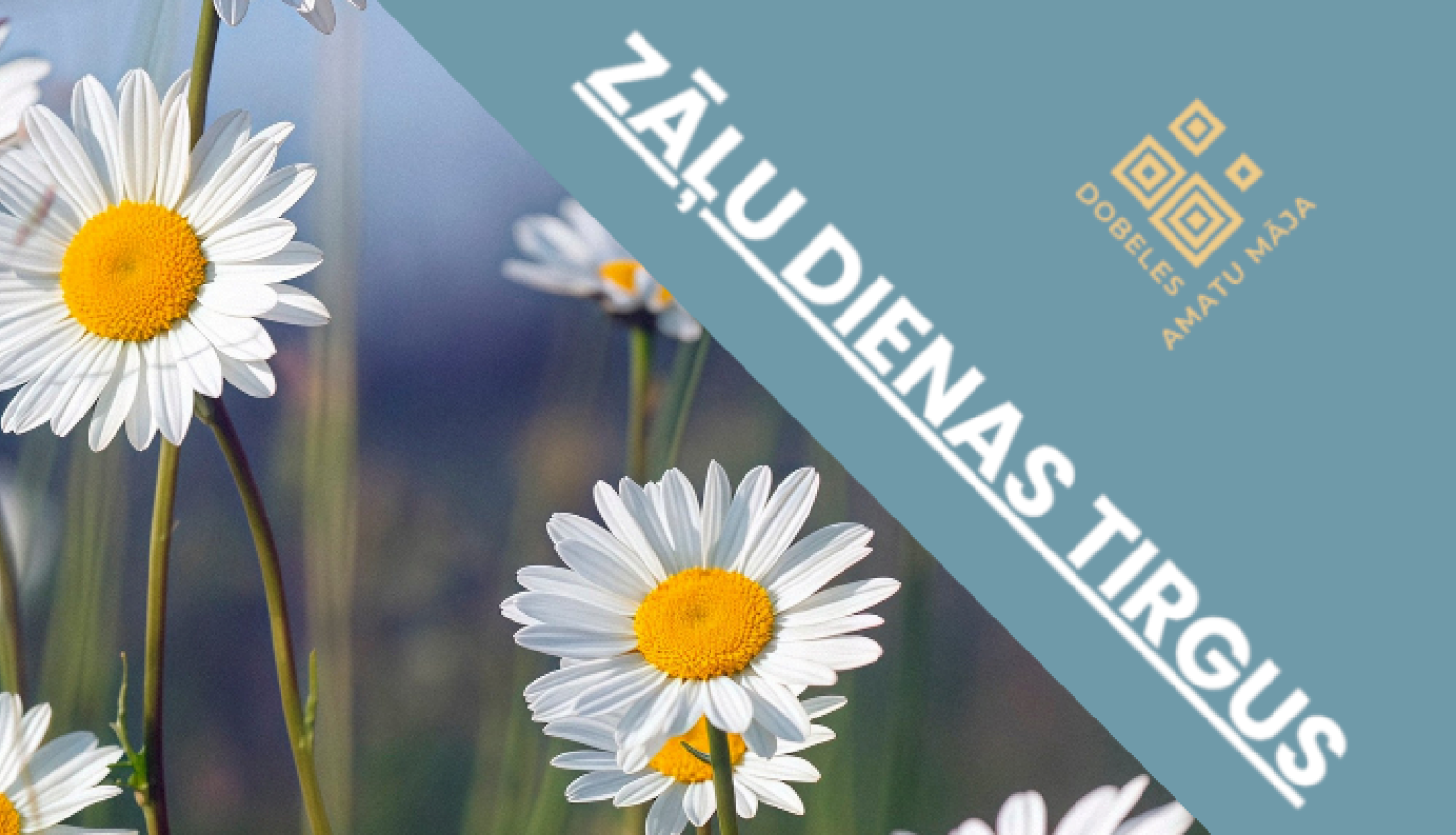 Zāļu dienas tirgus 2026