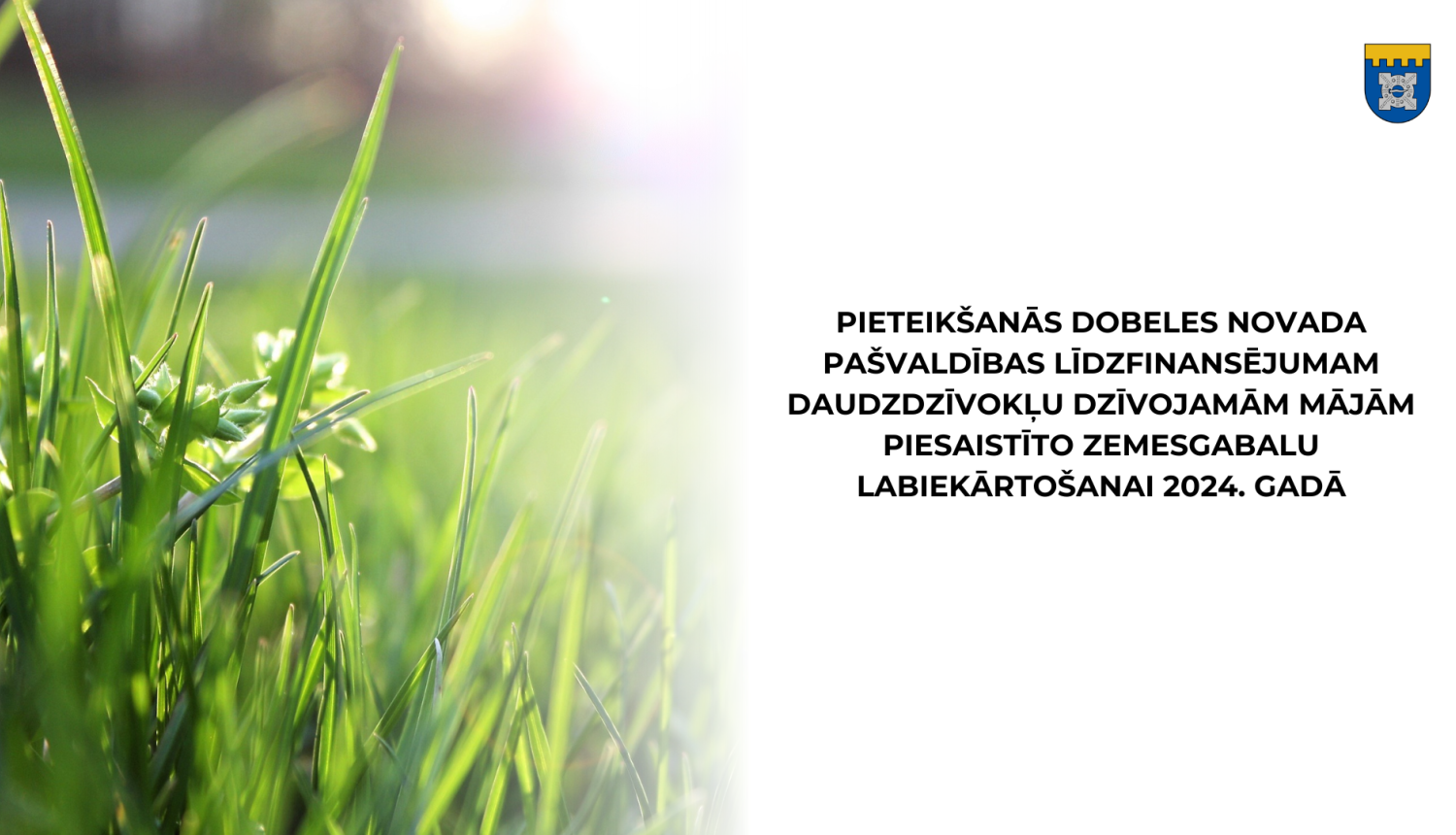 projekts