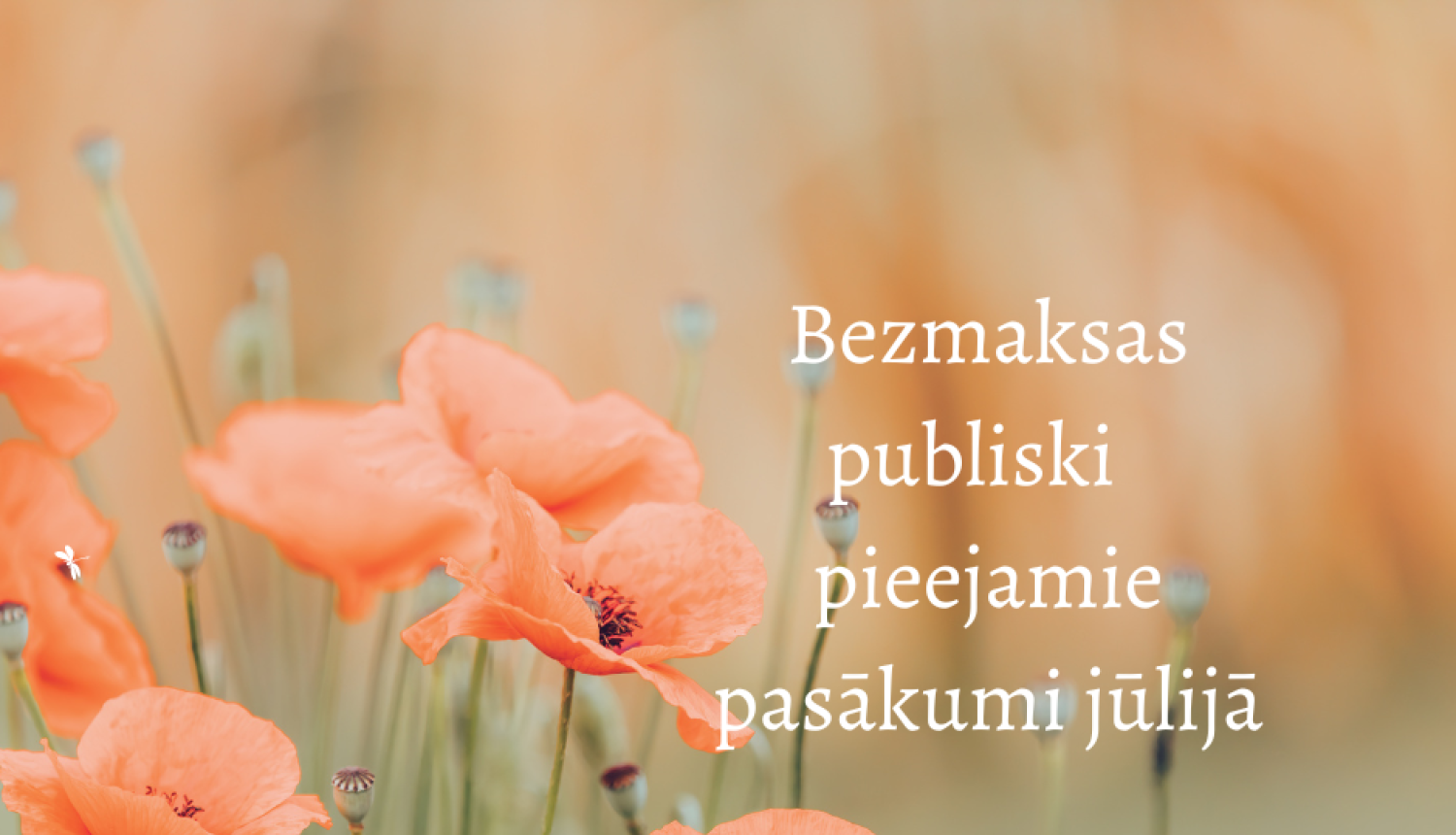 bezmaksas