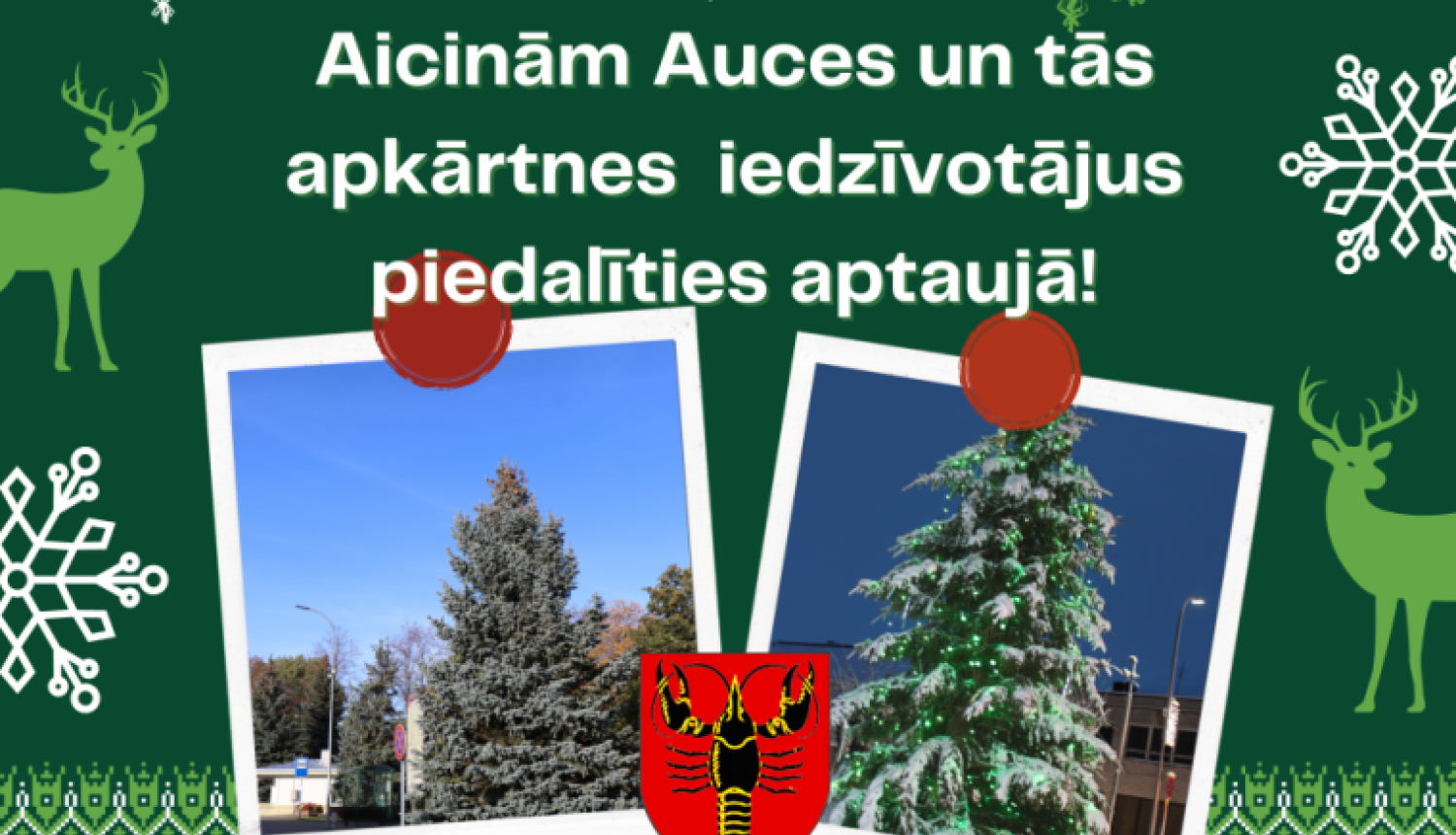 egles_aptaujai_auce_2022.png