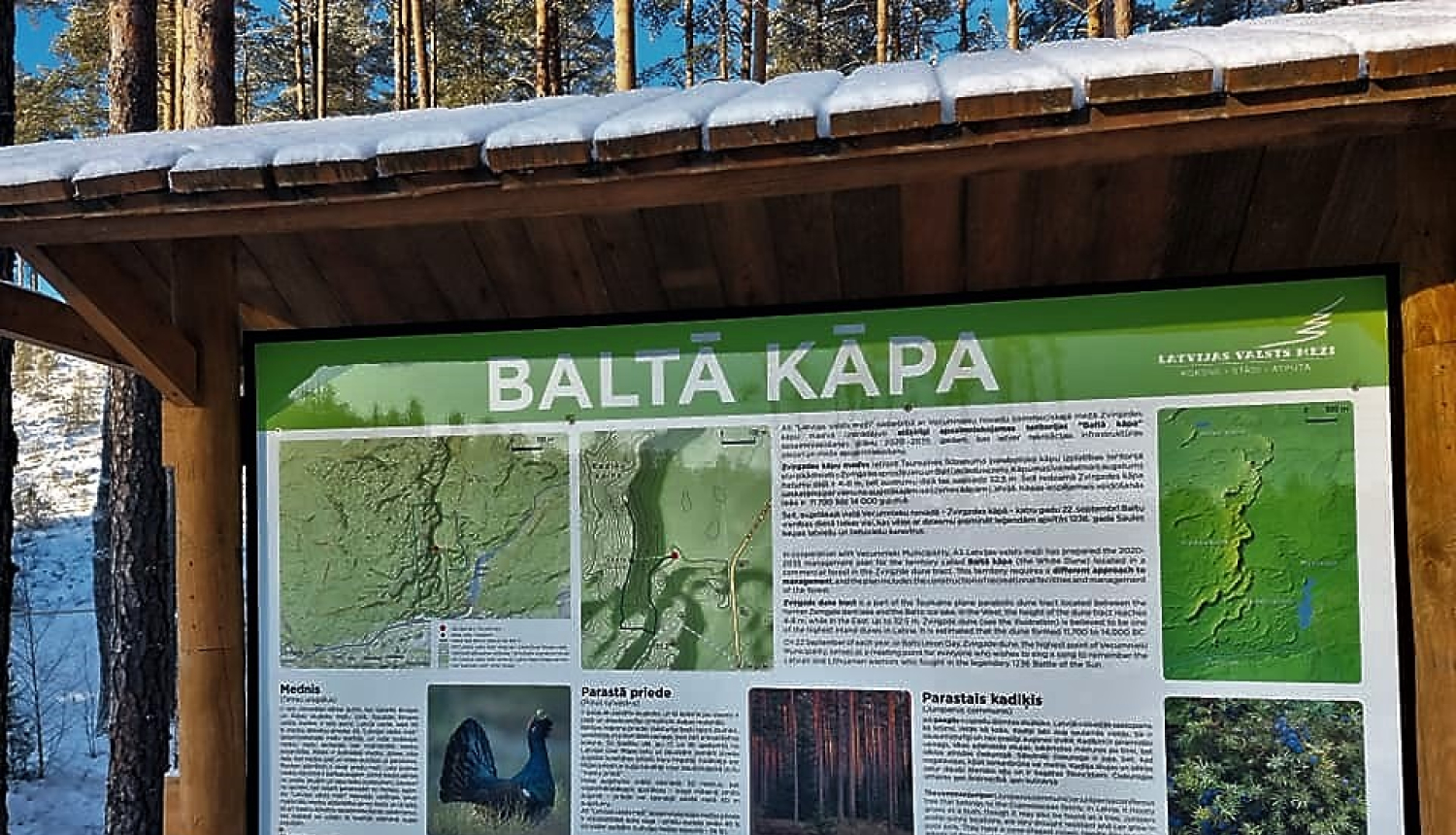 baltā kāpa