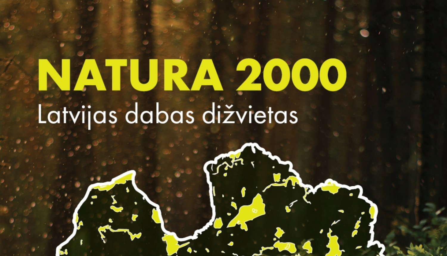Informācija