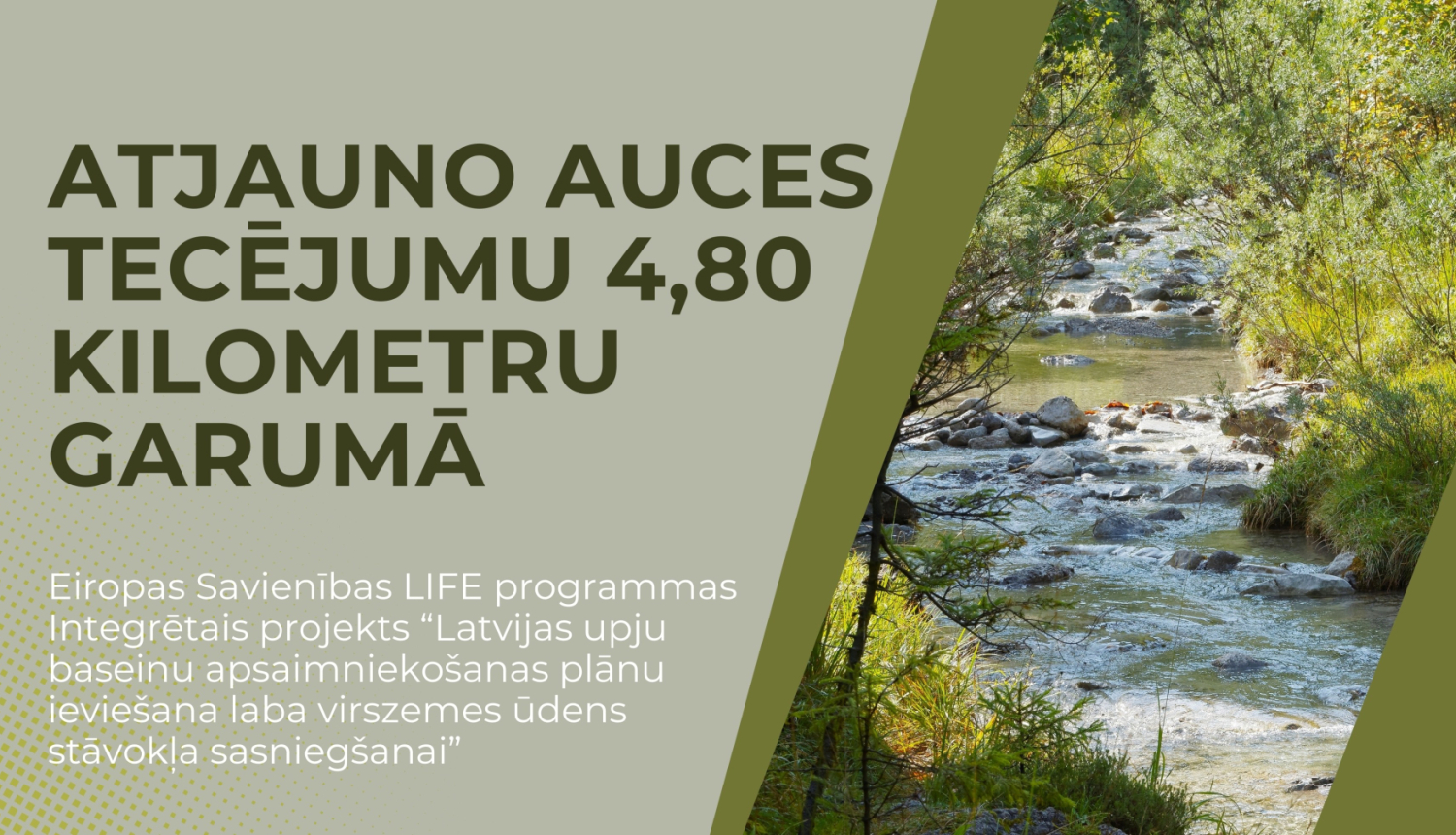 Auces upe