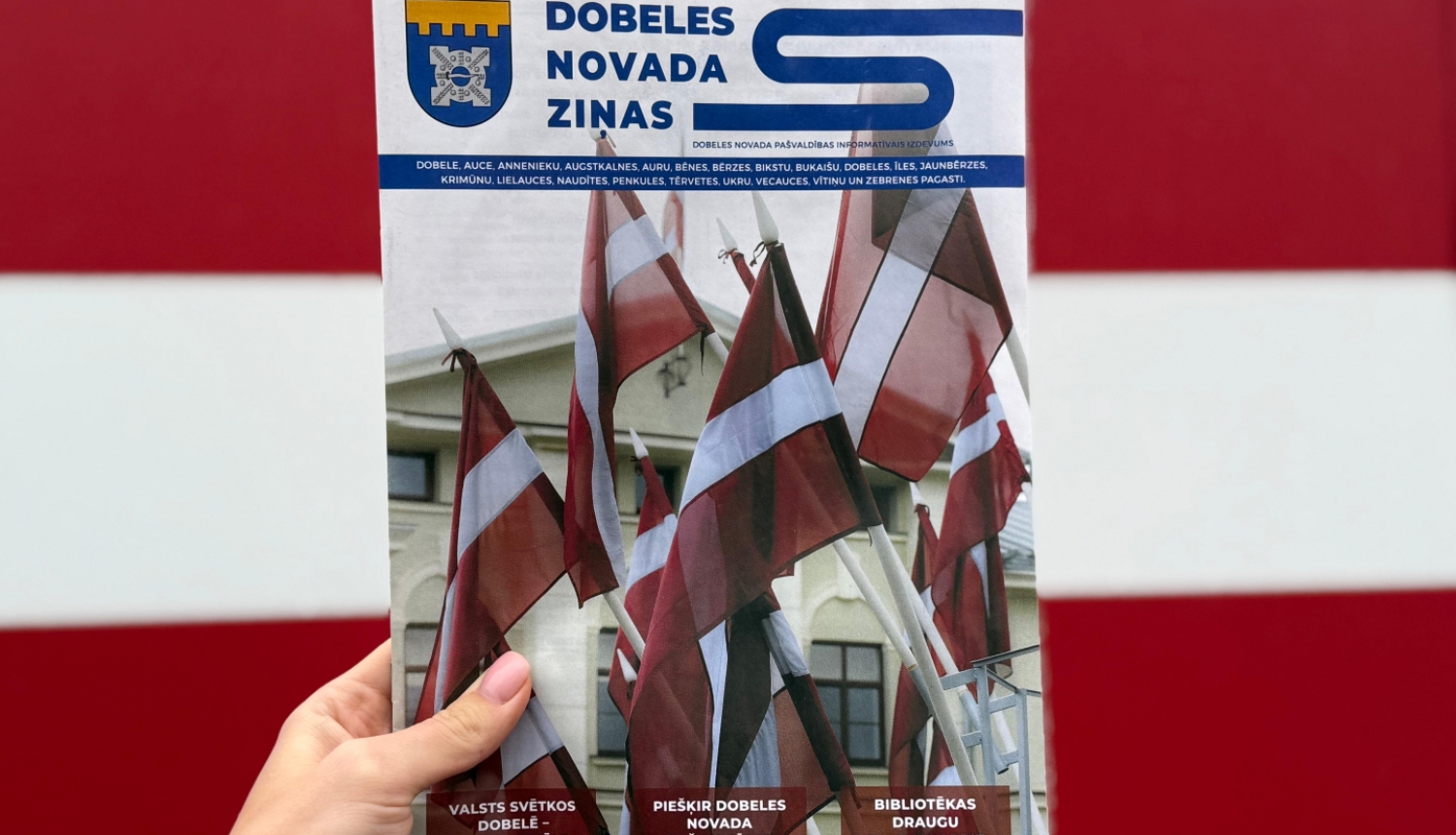DNZ novembris