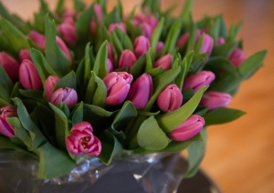 to.get_.her_photography-4_easy-resize.com_0.jpg