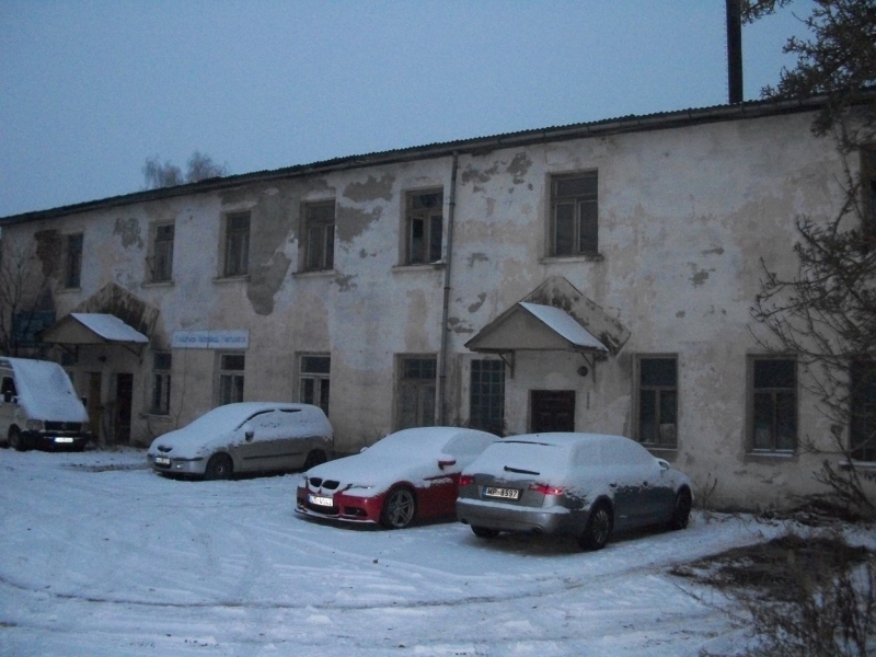 grausti1