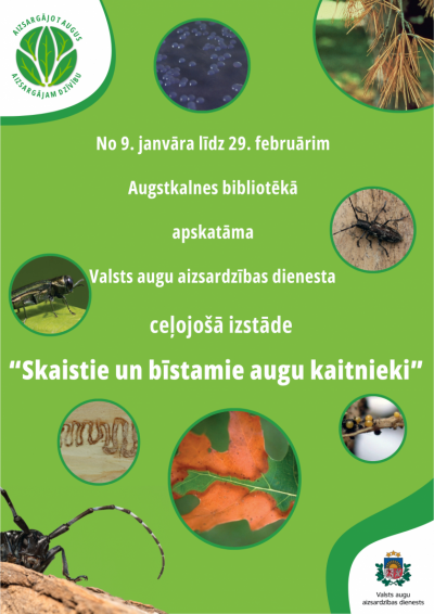 augstkalnes bibliotēka