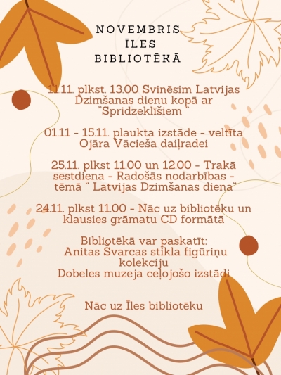 Novembris Īles bibliotēkā