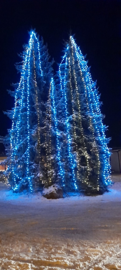 Naudīte