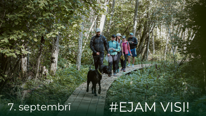 ejamvisi