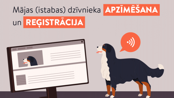 reģistrācija