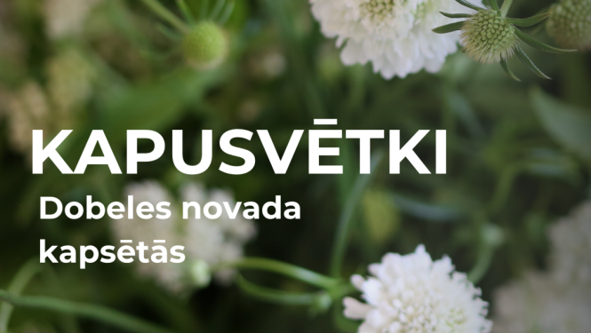 kapusvetki