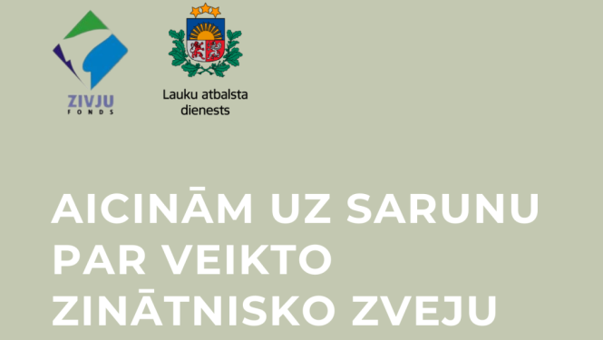 zivis