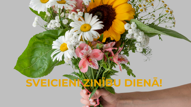ZINIBU DIENA