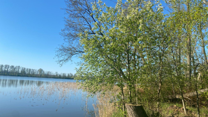talka