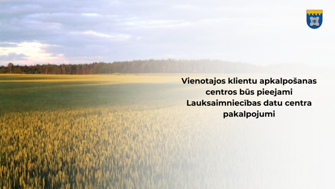 lauki