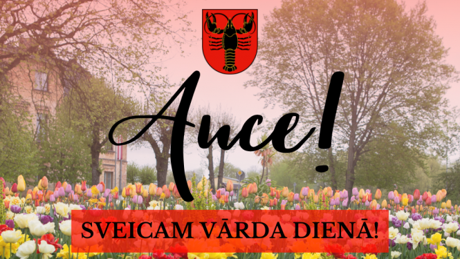 auce