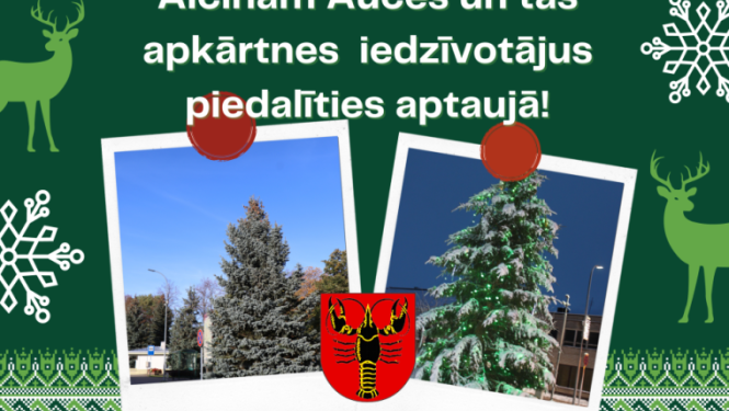 egles_aptaujai_auce_2022.png