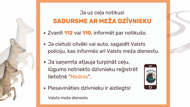 dzivnieki