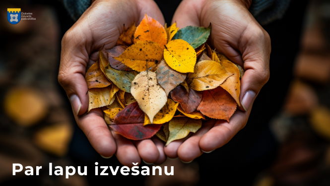 par lapu izvešanu