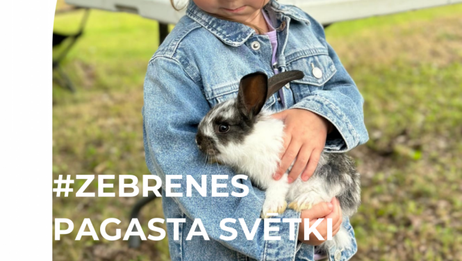 zebrene