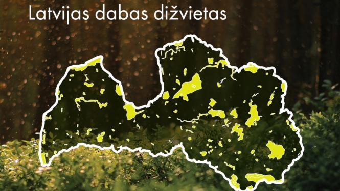 Informācija