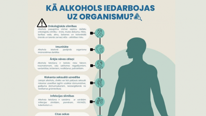 alkohola ietekme uz cilvēka organismu 