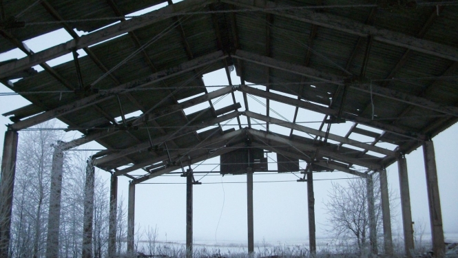 grauzsti3